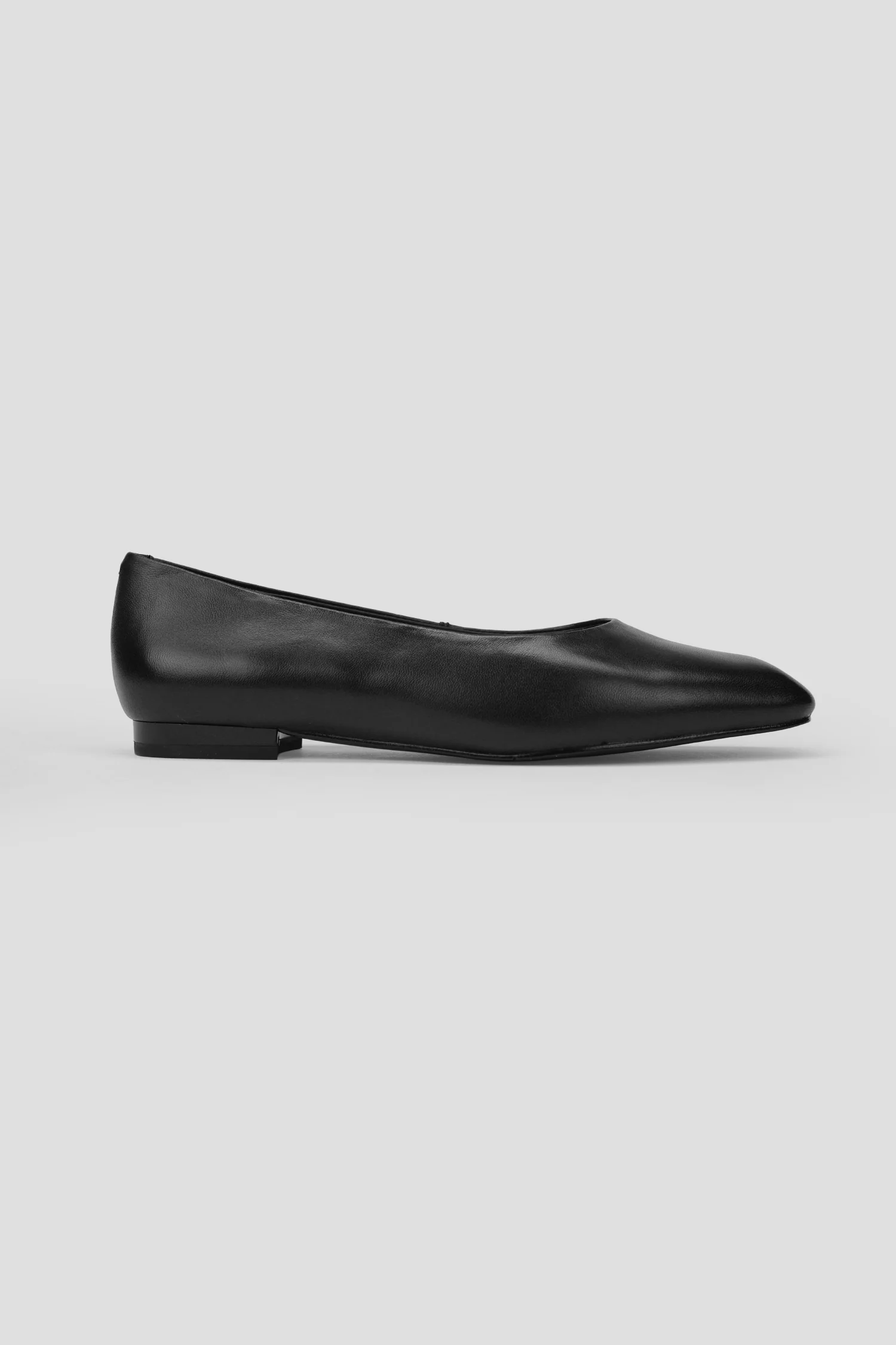 New Collection Men & Women